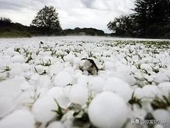 山东，四川等地有冰雹，对农作物损害非常大，你怎么看？