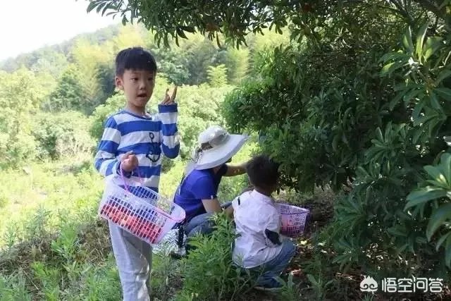 你看好休闲农庄的前景吗？