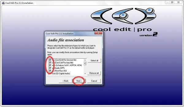 cooleditpro中文版