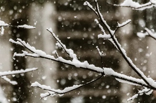 风雪交加的意思