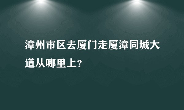漳州市区去厦门走厦漳同城大道从哪里上？