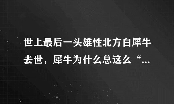世上最后一头雄性北方白犀牛去世，犀牛为什么总这么“倒霉”？