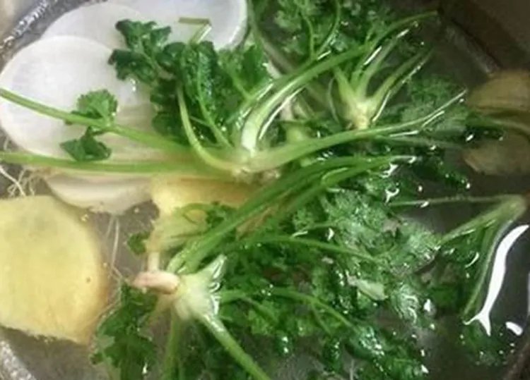 香菜煮水的功效与作用