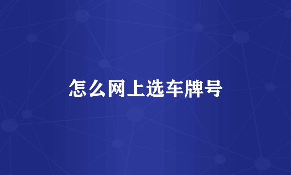 怎么网上选车牌号
