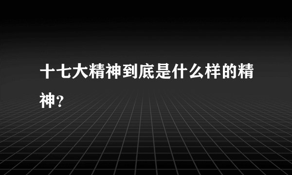 十七大精神到底是什么样的精神？