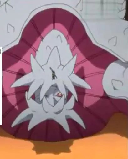 火影忍者尾兽介绍及图片