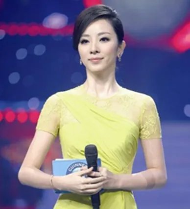 挑战主持人李思思主持风格备受好评 央视名嘴观众呼声高