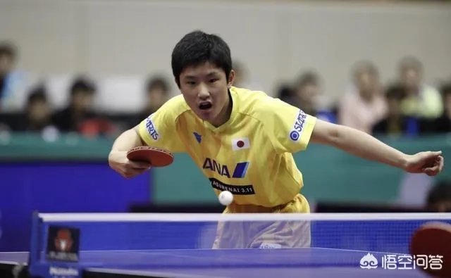 保公赛马龙3-4不敌皮切福德，日本赛2-4不敌张本智和，龙队究竟怎么了？