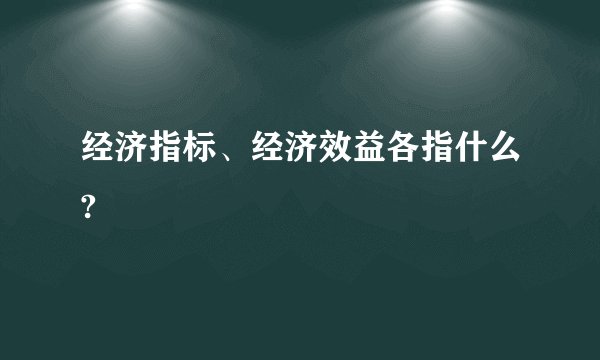 经济指标、经济效益各指什么?