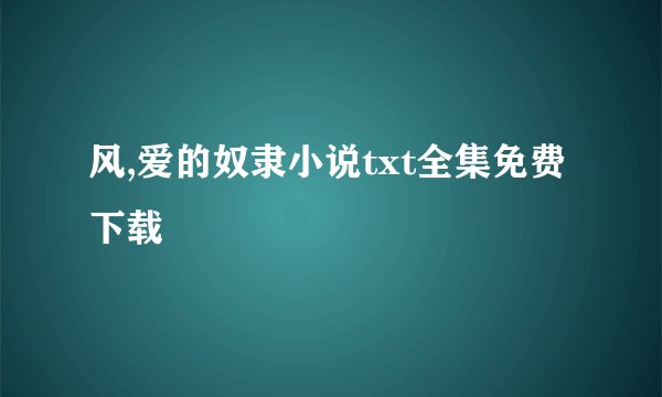 风,爱的奴隶小说txt全集免费下载