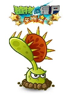 《植物大战僵尸全明星》植物捕蝇草卡牌介绍