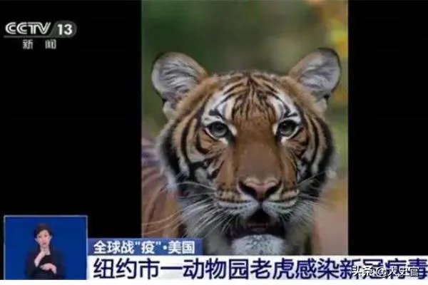 美国政府为什么要下令禁止研究蝙蝠？这是担心阴谋要暴露了吗？