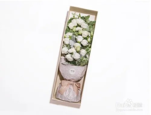 康乃馨多少钱一朵