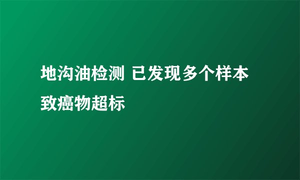 地沟油检测 已发现多个样本致癌物超标
