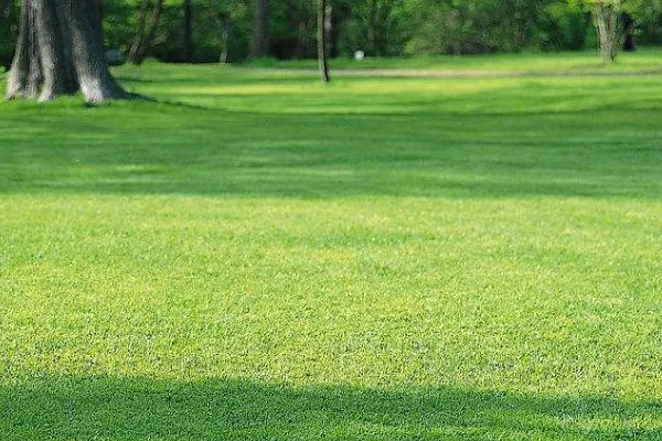 为什么说小糯米是小鬼?