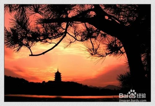 杭州专业网站建设就是这么任性！