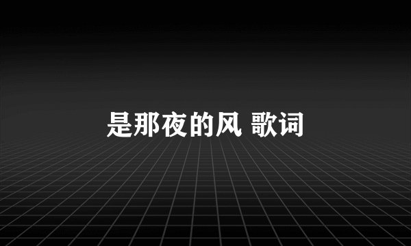是那夜的风 歌词