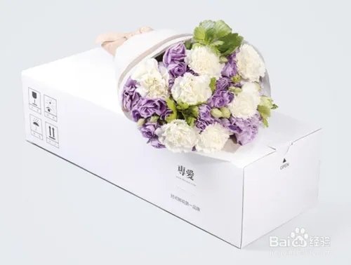 康乃馨多少钱一朵