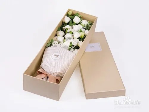 康乃馨多少钱一朵