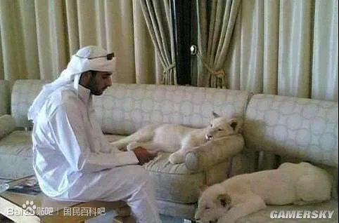 真正的龙子龙孙 各国王子公主秒杀高富帅白富美