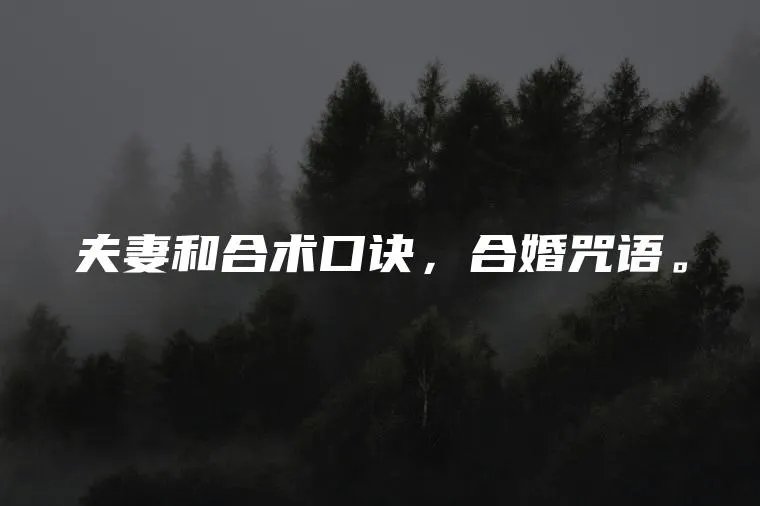 夫妻和合术口诀，合婚咒语。