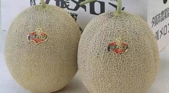 吃过这些水果的都是土豪，小编才第一次见识