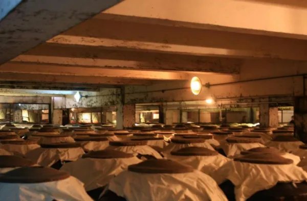 地震致四川泸州酒企储酒罐破裂，150吨高浓度白酒泄漏，如何预防爆炸？