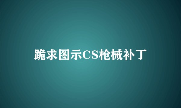 跪求图示CS枪械补丁