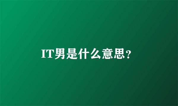 IT男是什么意思？