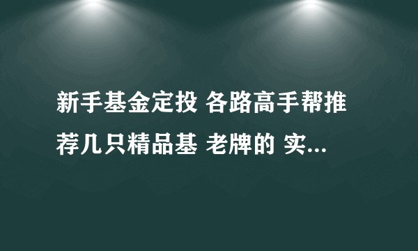 新手基金定投 各路高手帮推荐几只精品基 老牌的 实力雄厚的 前景看好的~多谢~