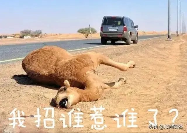 “谢大脚”于月仙因车祸去世，原因是天灾还是人祸？