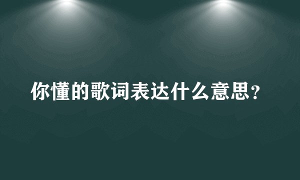 你懂的歌词表达什么意思？