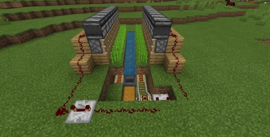 我的世界自动甘蔗机怎么做