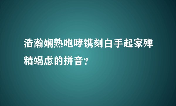 浩瀚娴熟咆哮镌刻白手起家殚精竭虑的拼音？