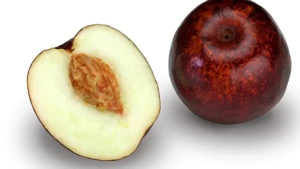 红枣的功效与作用