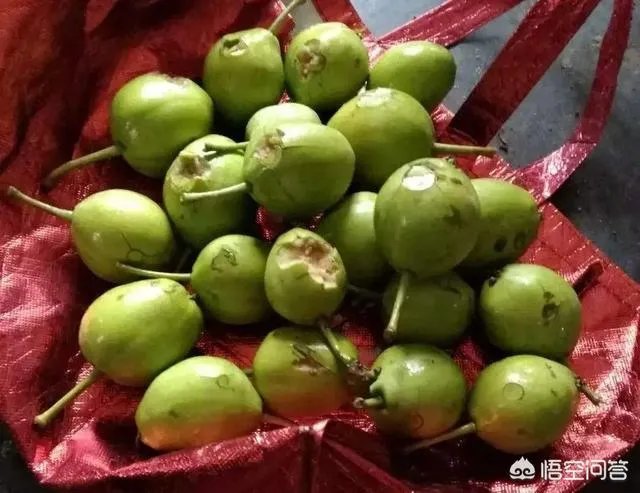 山东，四川等地有冰雹，对农作物损害非常大，你怎么看？