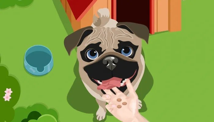 茶杯犬是怎么来的 茶杯犬的寿命是多长