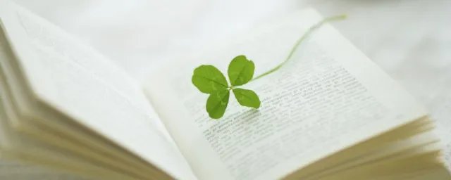 海枯石烂是什么意思