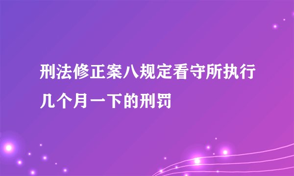 刑法修正案八规定看守所执行几个月一下的刑罚