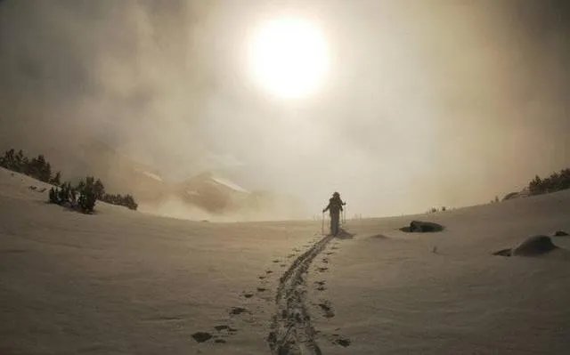 如何看待招商银行番茄炒蛋广告?