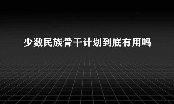 少数民族骨干计划到底有用吗