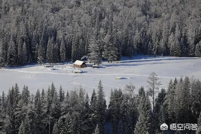 喀纳斯的风景如何?