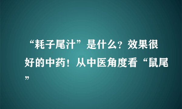 “耗子尾汁”是什么？效果很好的中药！从中医角度看“鼠尾”
