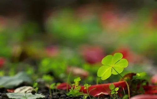 烟城广电大厦财经频道小说苏路顾塬乾全篇阅读