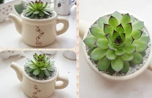 婚礼回礼送什么  结婚回礼一般回哪四样