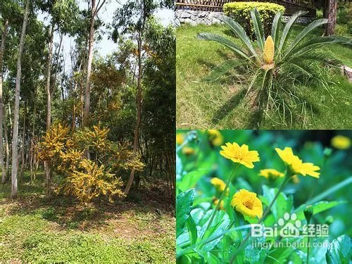 推荐漳州火山岛一日自助游