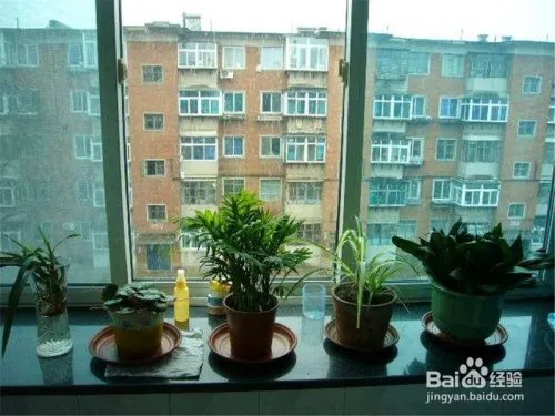 重庆暴雨致4人失踪 暴雨天气我们应该怎么办