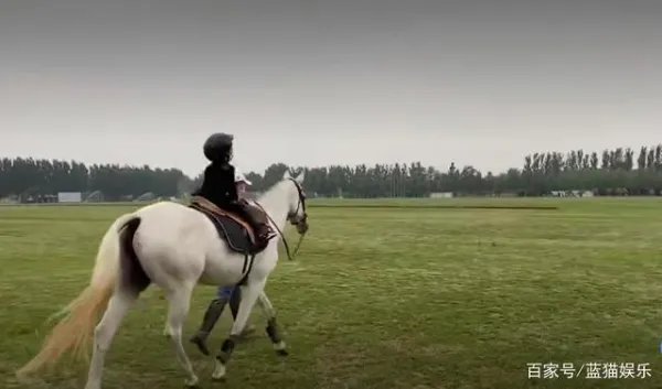 章子怡为何敢如此仗义执言？从她对女儿醒醒的教育是否能看出她的为人