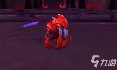 《魔兽世界》宠物拉基姆怎么获得 拉基姆获取教程