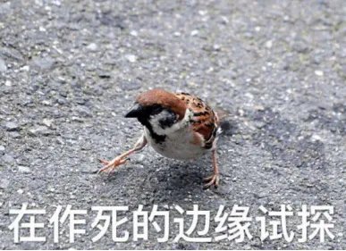 麻雀肉都有哪些功效/作用？